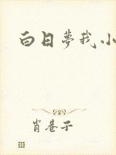 白日梦我小说