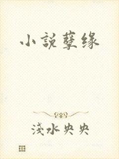 小说孽缘