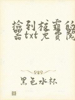 捡到校霸的遥控器txt免费阅读by阳阳