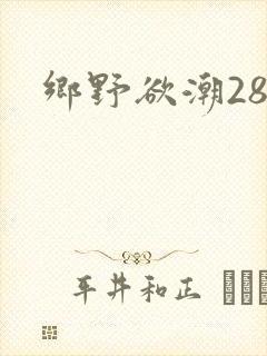 乡野欲潮28章