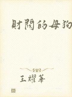 财阀的母狗们