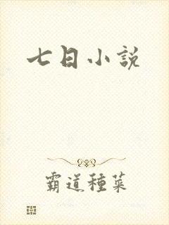 七日小说