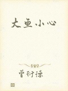 大鱼小心封面