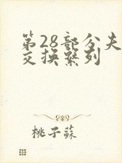第28部分夫妇交换系列