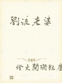 刘流老婆封面