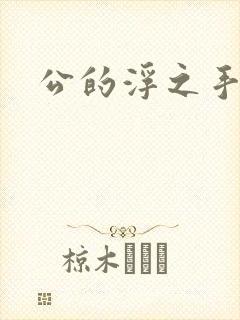 公的浮之手中字