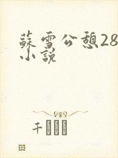 苏雪公憩28篇小说