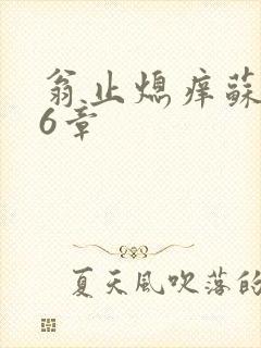 翁止熄痒苏玥第6章