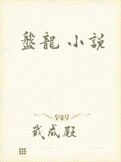 盘龙 小说