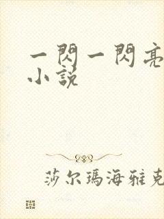 一闪一闪亮星星小说