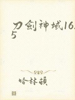 刀剑神域16.5