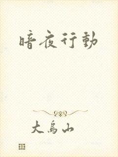 暗夜行动