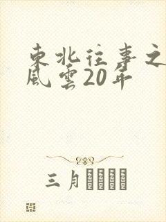 东北往事之黑道风云20年封面