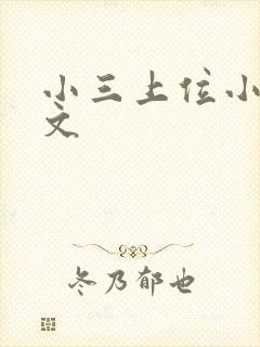 小三上位小说全文