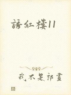 诱红楼11