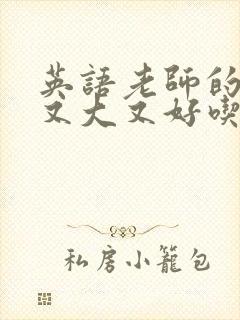 英语老师的兔子又大又好吃封面