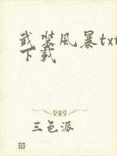 武装风暴txt下载