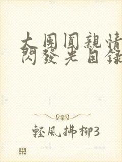 大团圆亲情会闪闪发光目录封面