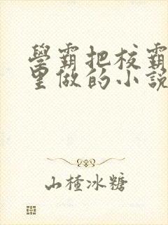 学霸把校霸往死里做的小说