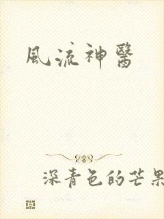 风流神医封面