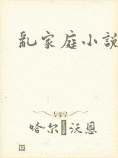 乱家庭小说封面