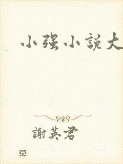 小强小说大全封面