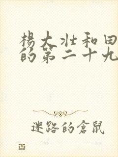 杨大壮和田桂花的第二十九