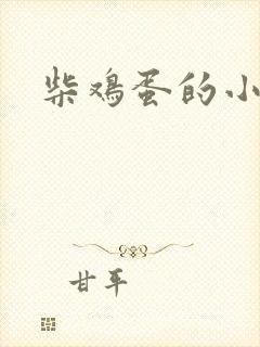 柴鸡蛋的小说封面
