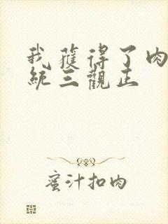 我获得了肉禽系统三观正