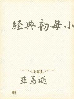 经典韵母小说封面