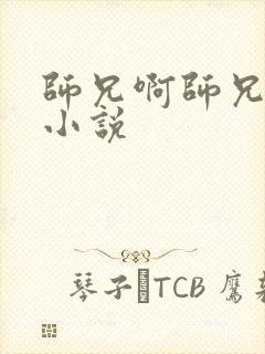 师兄啊师兄原著小说