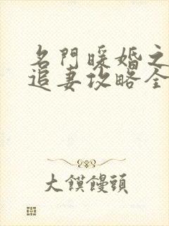 名门暖婚之权爷追妻攻略全文免费阅读