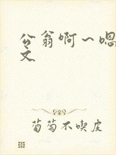 公翁啊～嗯啊h文