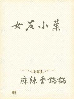 女友小叶