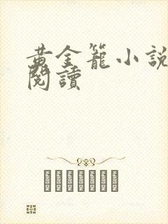 黄金笼小说免费阅读封面