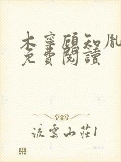 木宁顾知胤小说免费阅读