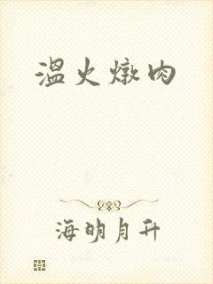 温火炖肉