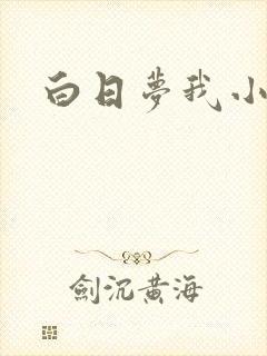 白日梦我小说封面