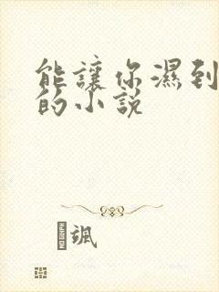 能让你湿到不行的小说