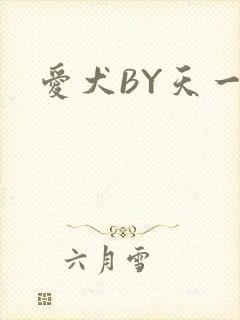 爱犬BY天一封面