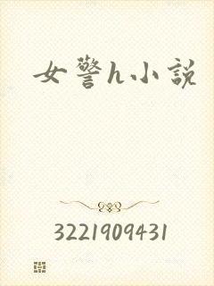 女警h小说封面