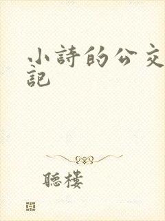 小诗的公交车日记