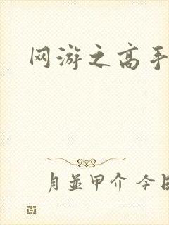 网游之高手寂寞