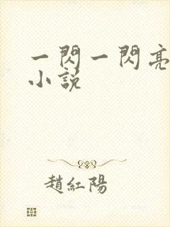 一闪一闪亮星星小说