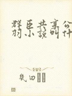 群臣共享公主银羽小说叫什么