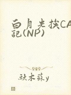 白月光挨CAO记(NP)