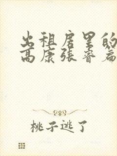 出租房里的交互高康张睿篇