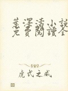 叶泽涛小说全文免费阅读全文封面