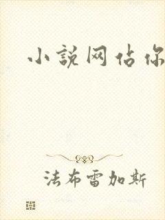 小说网站你懂的