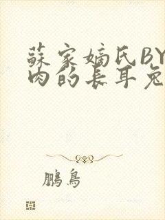 苏家嫡氏BY吃肉的长耳兔